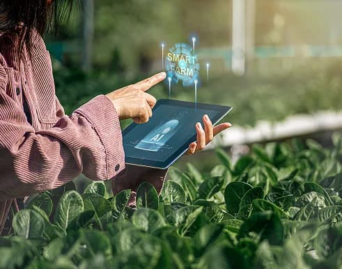 https://exalogic-store.s3.us-east-2.amazonaws.com/2.0/industries/sustainable/iot-smart-sensor.webp