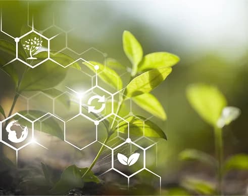 Sustainable Agriculture