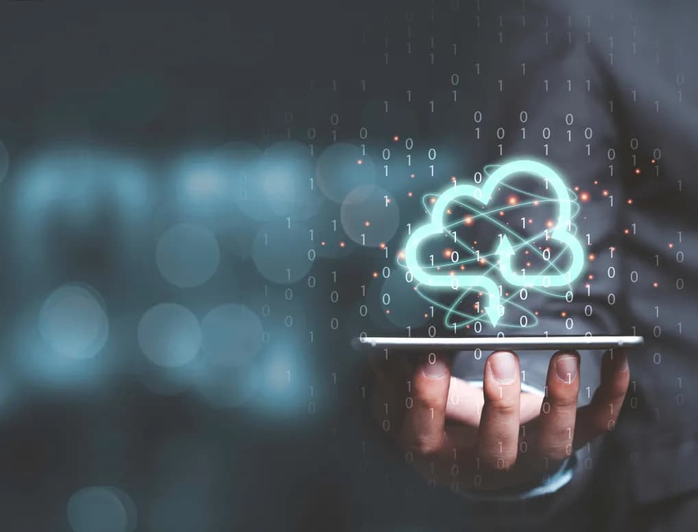 Elevated Customer Experiences